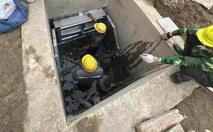 1744356018205598.jpg 9.jpg