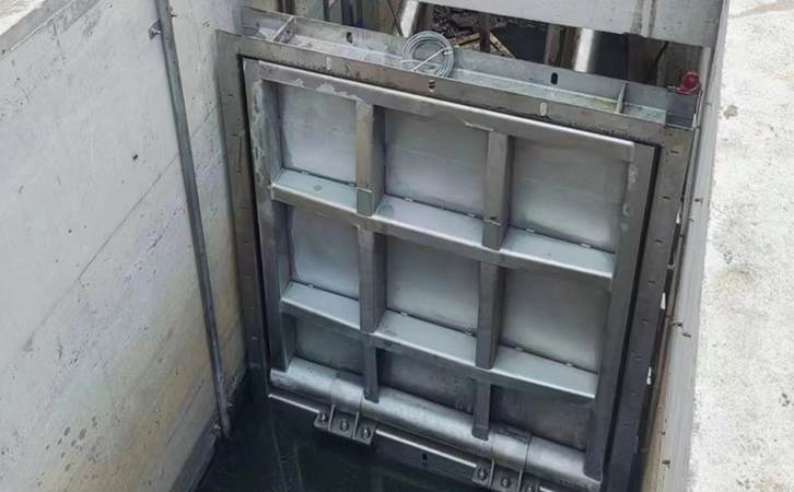 1749537048137705.jpg 206.jpg